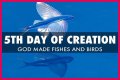 What did God create on the fifth day of creation?